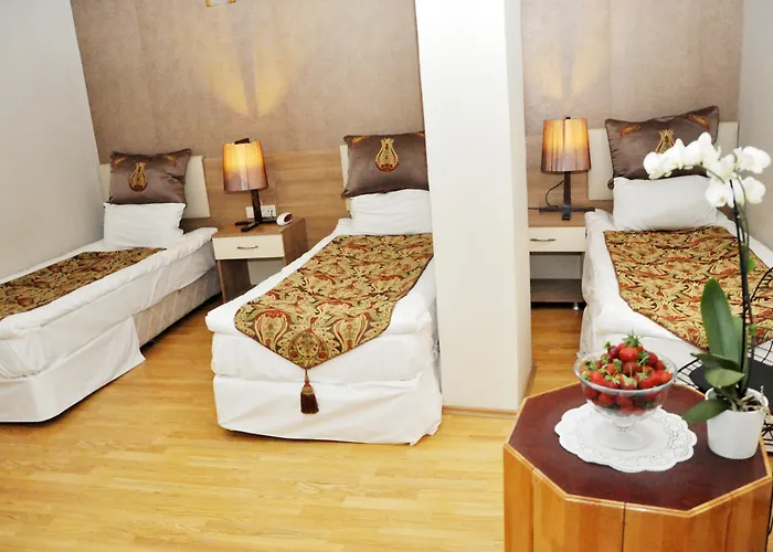 Arsima Otel 3*